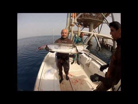 Spearfishing in Kuwait 2013 part 3