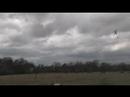 Jamie Robertson Flying Trex 600