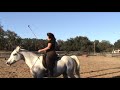 Peggy Finnerty and Sam Parelli Level 3 Carrot Stick Riding Peggy Finnerty and Sam Parelli Level 3 Carrot Stick Riding