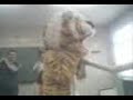harry fin de quinto harry fin de quinto