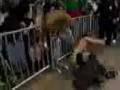 videos de @Leo@
