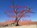 vasilis-karras-monos-bulgarian-translation.html