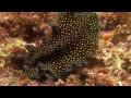 Went out on the Solmar V for a...