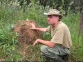 Cerrado Survival Techniques Cerrado Survival Techniques