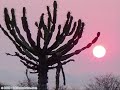 Angola minha terra ...