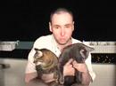 My cats and I