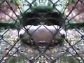 wasser13.html