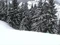 videos de Snowboard stunts