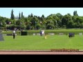 IDC WM 2009 Apolda Dobermann working-dog.eu