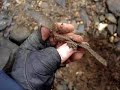 GoMetalDetecting Riverbanks GoMetalDetecting Riverbanks