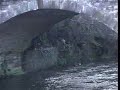 04.Riverside (Moby - J Breas) 04.Riverside (Moby - J Breas)