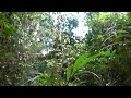 aventuras na lama 047.mov
