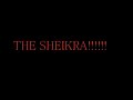 Sheikra Roller Coaster Drop- Bush Gardens, Tampa Bay Florida