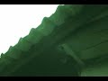 The Tokay Video