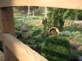 Backyard Pond fountain Backyard Pond fountain