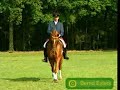 Weltmeyer