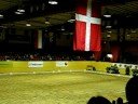 Anky van Grunsven at CDI Flyinge