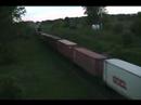 Newtonville 04.06.06 1394