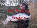 videos de UK FISHING FORUMS