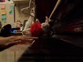 Ouran High - Sakura Kiss For Piano