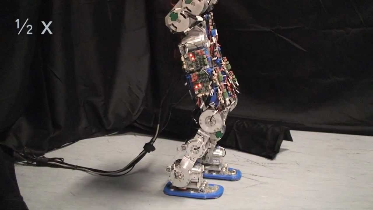 Compliant humanoid robot COMAN learns to walk efficiently by varying the center-of-mass height learned by reinforcement learning. The optimized walking gait achieves 18% reduction of the energy consumption.