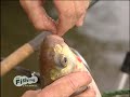 Mark Pollard Bream Fishing on the River Yare, Norfolk