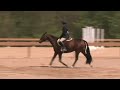 Pop Star (Pony For Sale) Pop Star (Pony For Sale)