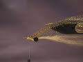 Clouser Minnow Video 2