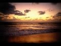 videos de Shifted Reality - Fuerte (P.A.F.F. Remix)