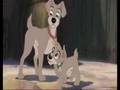 Scamp: Just like you