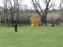 Indian Creek Schutzhund Club April 22nd