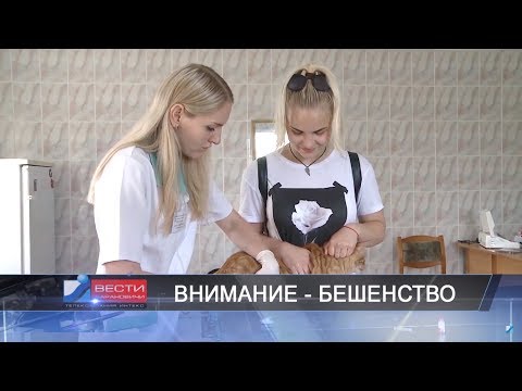 Вести Барановичи 19 июля 2018.