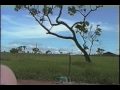 Cessna 180 - PT - JOT - NATAL PINHO/CASSIL�NDIA/MS/RASANTE