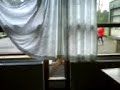 B�hmanden xD\