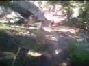 Butcher Ranch I