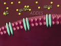 Is Alzheimer\ Is Alzheimer\