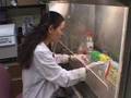 Is Alzheimer's Diabetes?