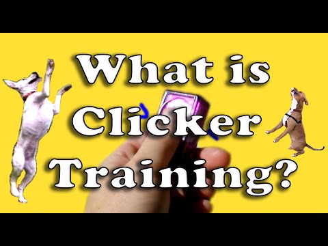 What is clicker training?- dog training
