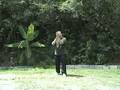 Free Lesson: 9. Play Pipa- Wu Tai Chi