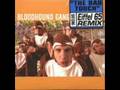 Bloodhound Gang - Bad Touch (Eiffel 65 Rmx)