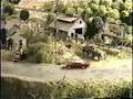 close-ups of scenery