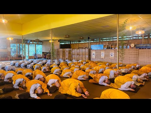 NIKAYA Thiền Quán - Giải Mã Luân Hồi