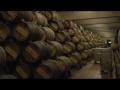 Un día con el mundo del vino. EL CORREO TV