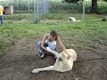 Kangaldogs.nl