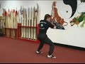 mantis gathering DVD clip
