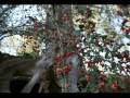 Canon Rebel XTI/400D Hillcrest Park Fullerton, CA - free flv video @ vwatch.tv