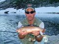 Fly Fishing for BIG GOLDEN TROUT #1 (Wyoming)