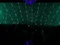 videos de Chris Mayer-Ishi Nya[ReEdit]