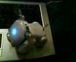 iDog