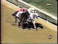 1999 Pimlico Special 1999 Pimlico Special